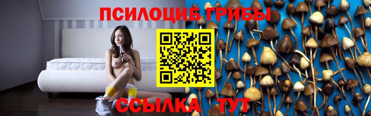 Сафоново  Галлюциногенные грибы ЛСД  Вход с VPN 